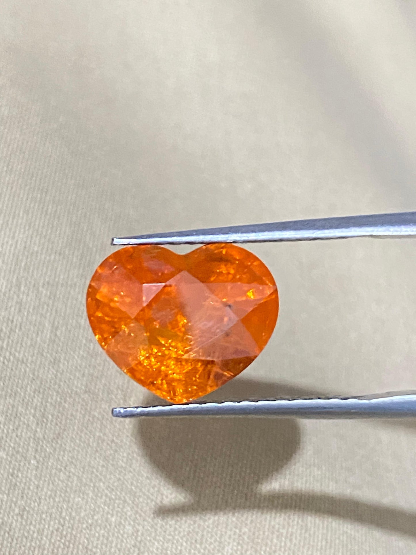 Fanta Garnet-001 (7+ ct.)