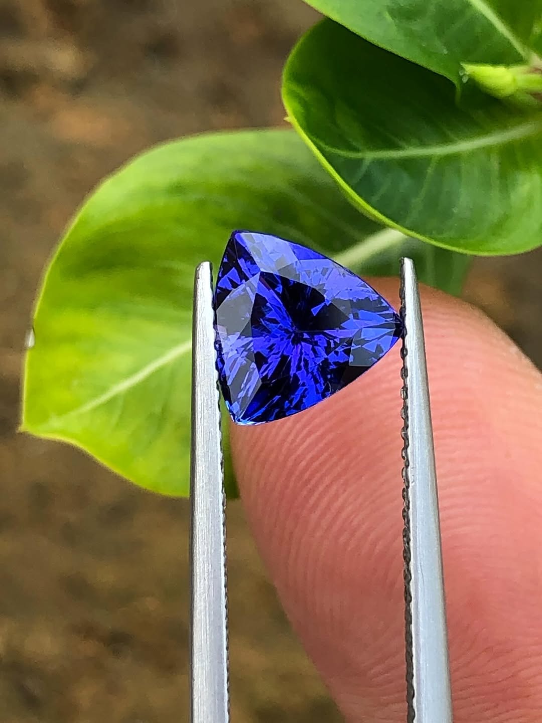 Tanzanite-010 (1.5+ ct.)