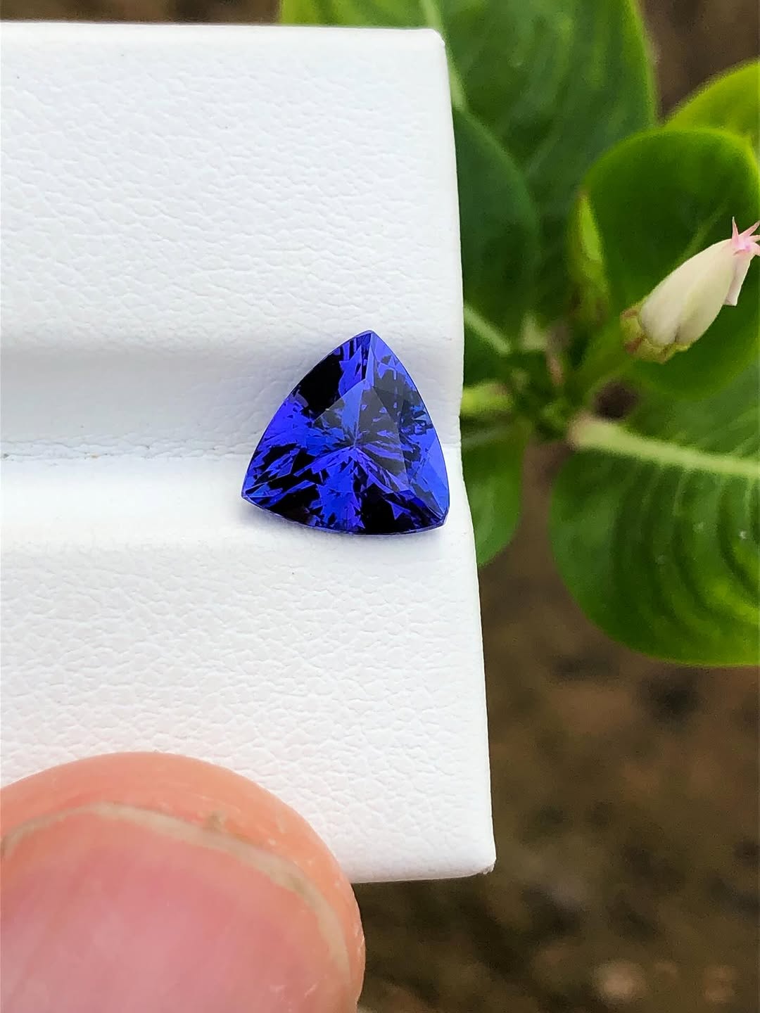 Tanzanite-010 (1.5+ ct.)