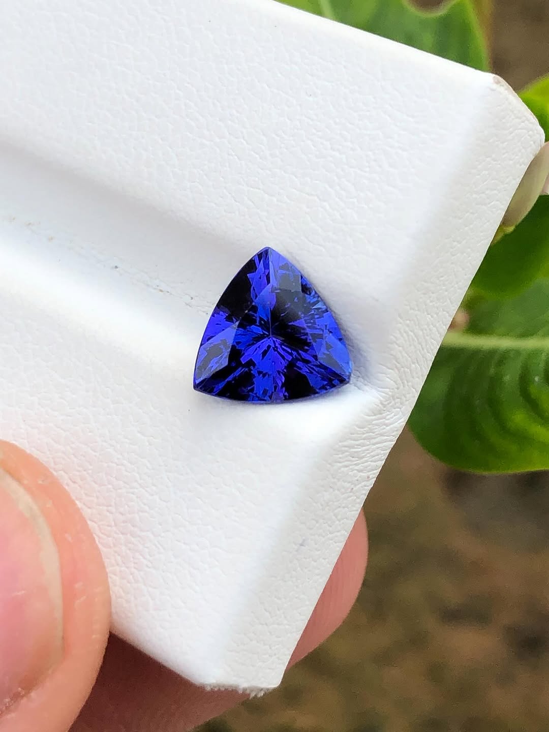 Tanzanite-010 (1.5+ ct.)