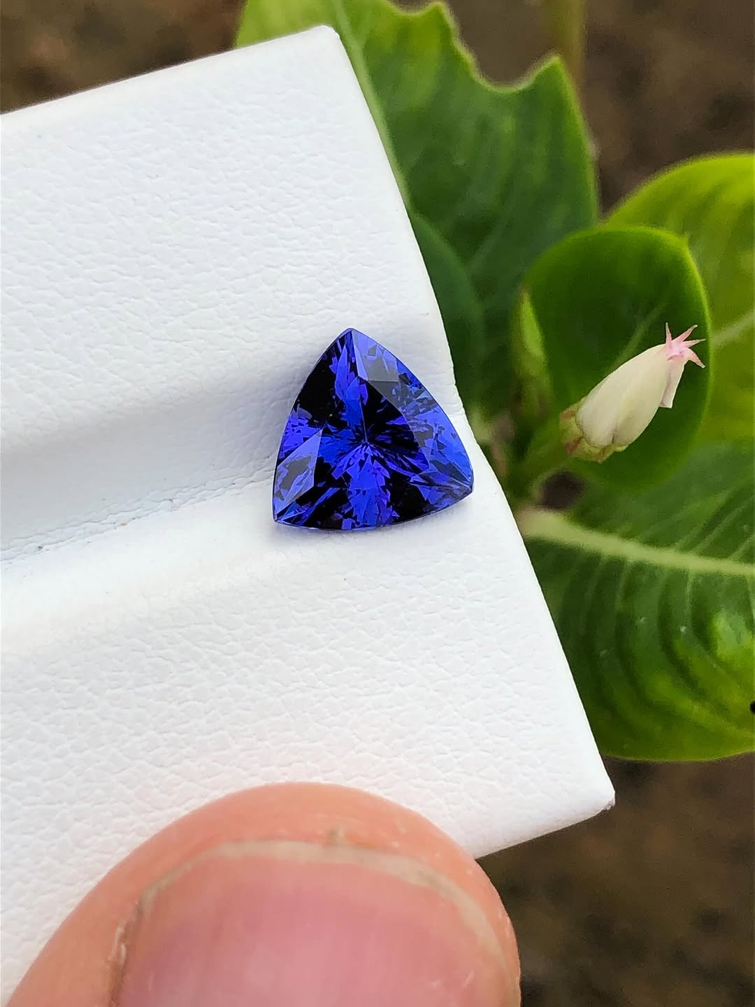 Tanzanite-010 (1.5+ ct.)