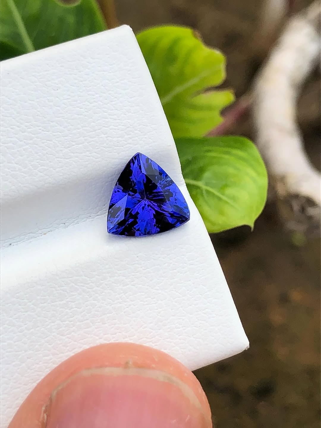 Tanzanite-010 (1.5+ ct.)
