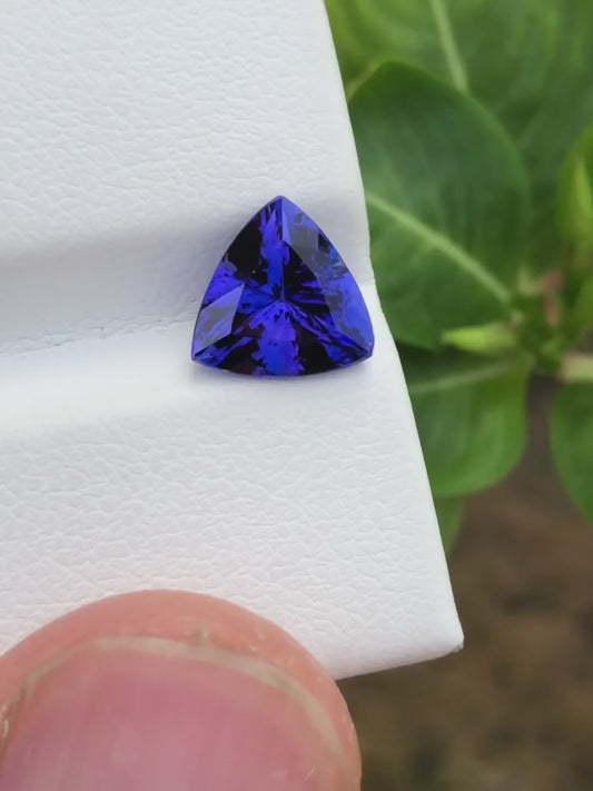 Tanzanite-010 (1.5+ ct.)